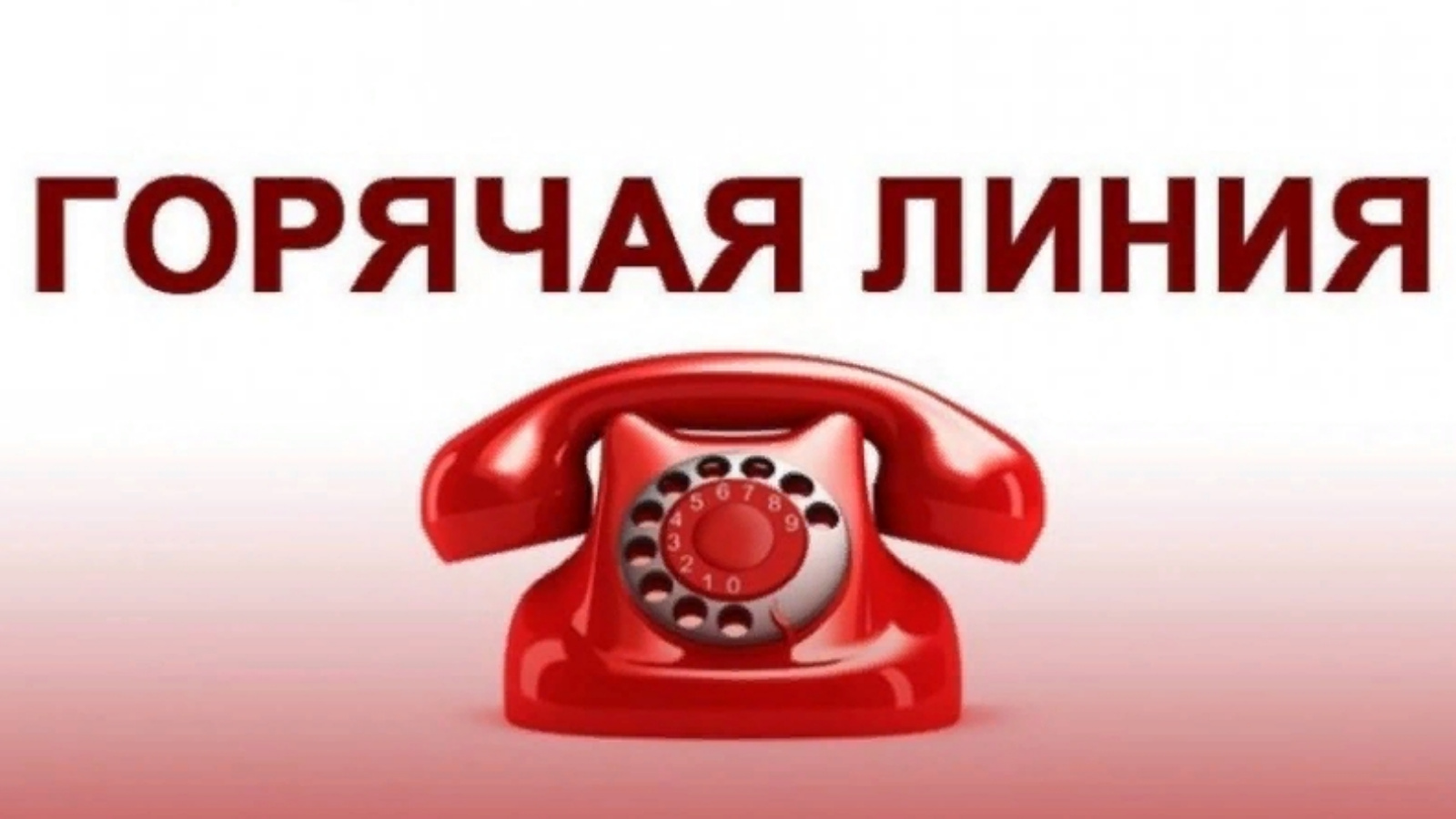 «Горячая» линия по вопросам детского отдыха, качества и безопасности детских товаров с 12 по 23 мая 2025 года.